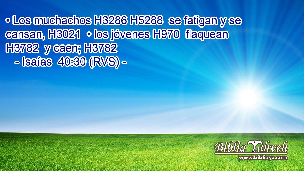 • Los muchachos H3286 H5288  se fatigan y se cansan, H3021  • los jóvenes H970  flaquean H3782  y caen; H3782  