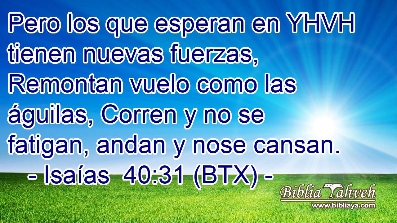 Pero los que esperan en YHVH tienen nuevas fuerzas, Remontan vuelo como las águilas, Corren y no se fatigan, andan y nose cansan.