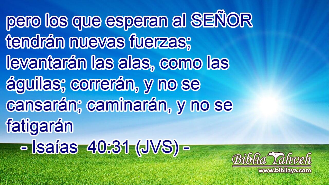 pero los que esperan al SEÑOR tendrán nuevas fuerzas; levantarán las alas, como las águilas; correrán, y no se cansarán; caminarán, y no se fatigarán