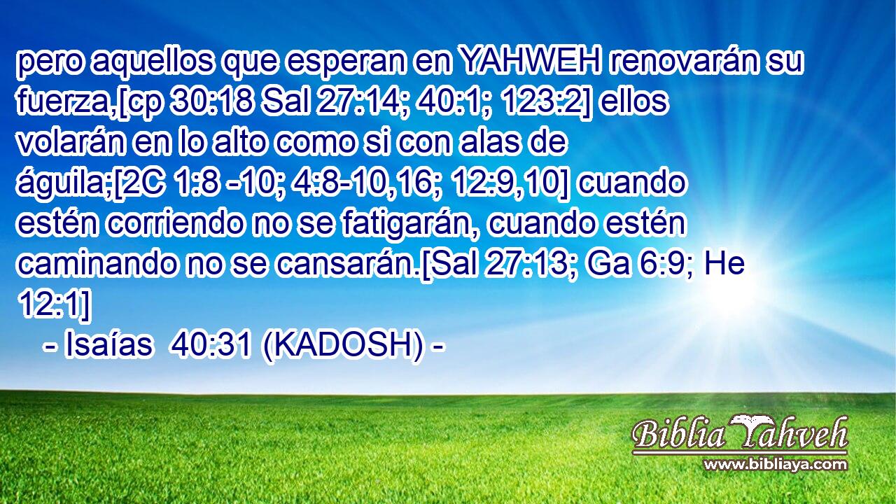  pero aquellos que esperan en YAHWEH renovarán su fuerza,[cp 30:18 Sal 27:14; 40:1; 123:2] ellos volarán en lo alto como si con alas de águila;[2C 1:8 -10; 4:8-10,16; 12:9,10] cuando estén corriendo no se fatigarán, cuando estén caminando no se cansarán.[Sal 27:13; Ga 6:9; He 12:1] 