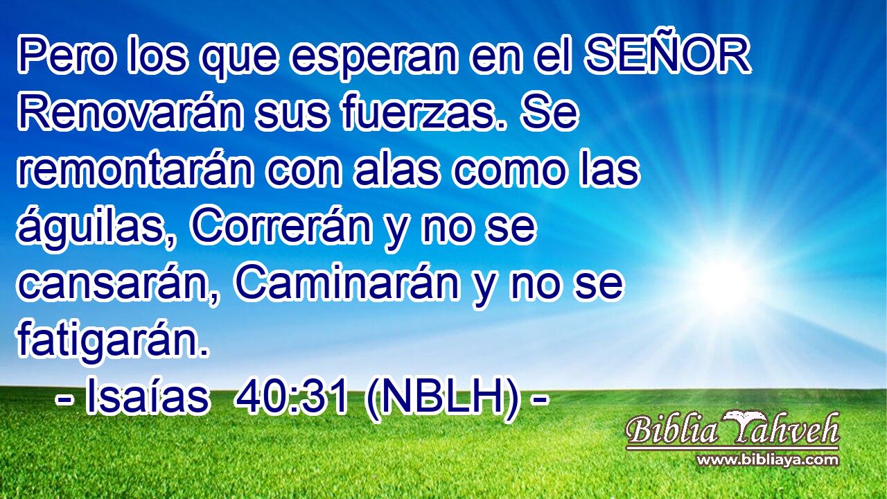  Pero los que esperan en el SEÑOR Renovarán sus fuerzas. Se remontarán con alas como las águilas, Correrán y no se cansarán, Caminarán y no se fatigarán. 