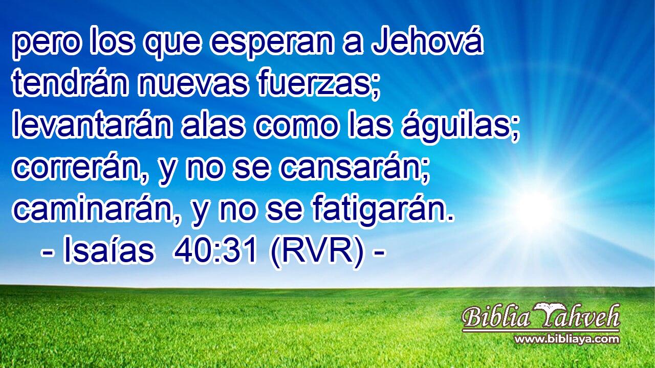 Isaías 40:31 (RVR) - pero los que esperan a Jehová tendrán nue...