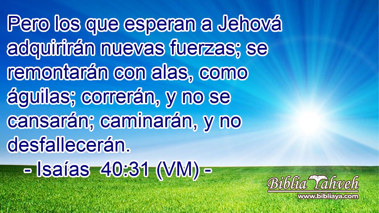  Pero los que esperan a Jehová adquirirán nuevas fuerzas; se remontarán con alas, como águilas; correrán, y no se cansarán; caminarán, y no desfallecerán. 