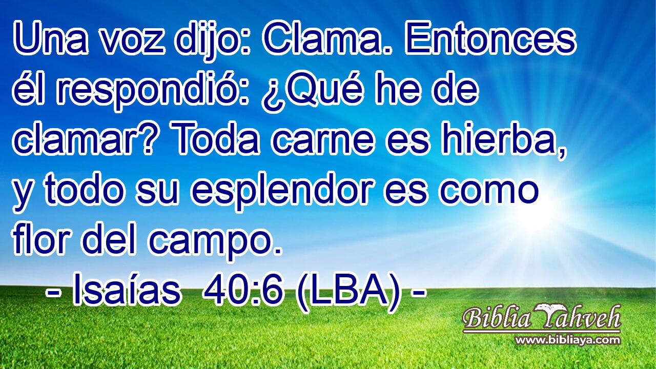 Una voz dijo: Clama. Entonces él respondió: ¿Qué he de clamar? Toda carne es hierba, y todo su esplendor es como flor del campo.
