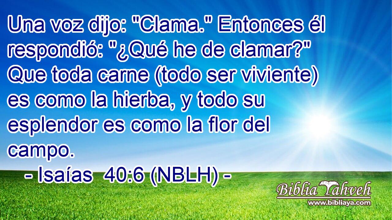  Una voz dijo: 