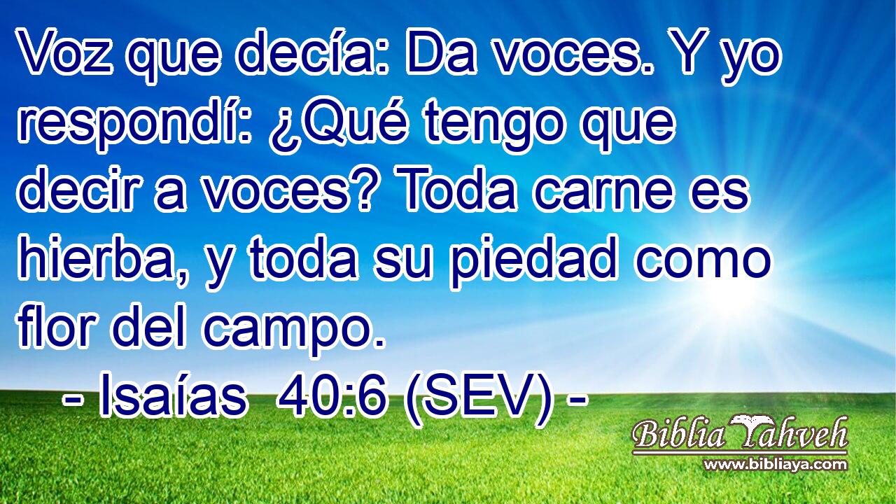 Voz que decía: Da voces. Y yo respondí: ¿Qué tengo que decir a voces? Toda carne es hierba, y toda su piedad como flor del campo.