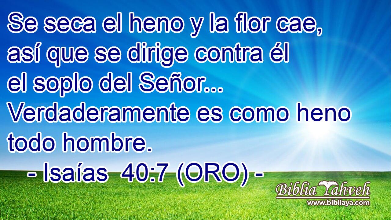  Se seca el heno y la flor cae, así que se dirige contra él el soplo del Señor... Verdaderamente es como heno todo hombre. 