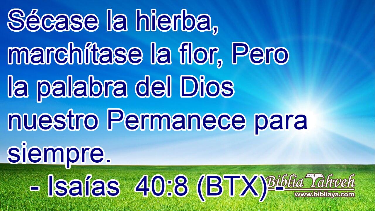 Sécase la hierba, marchítase la flor, Pero la palabra del Dios nuestro Permanece para siempre.