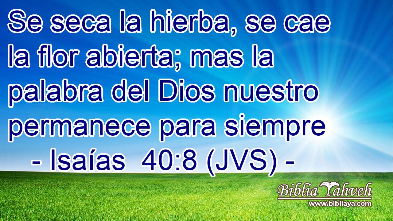 Se seca la hierba, se cae la flor abierta; mas la palabra del Dios nuestro permanece para siempre