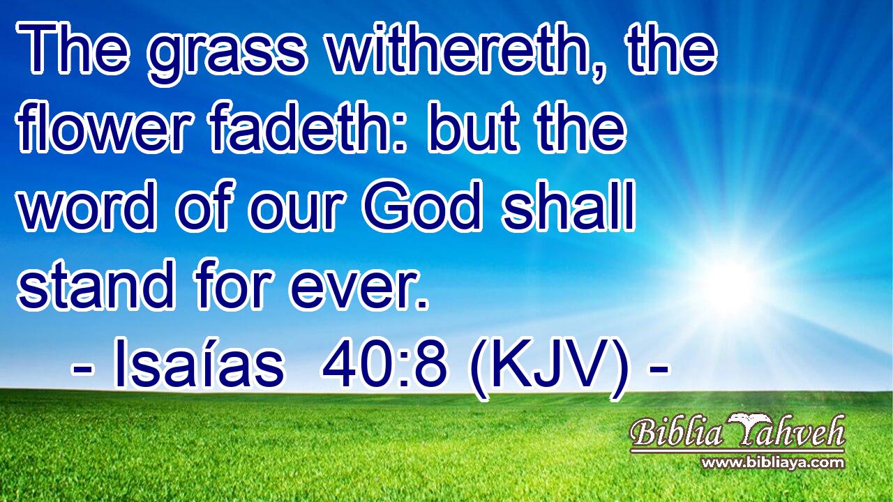 The grass withereth, the flower fadeth: but the word of our God shall stand for ever.