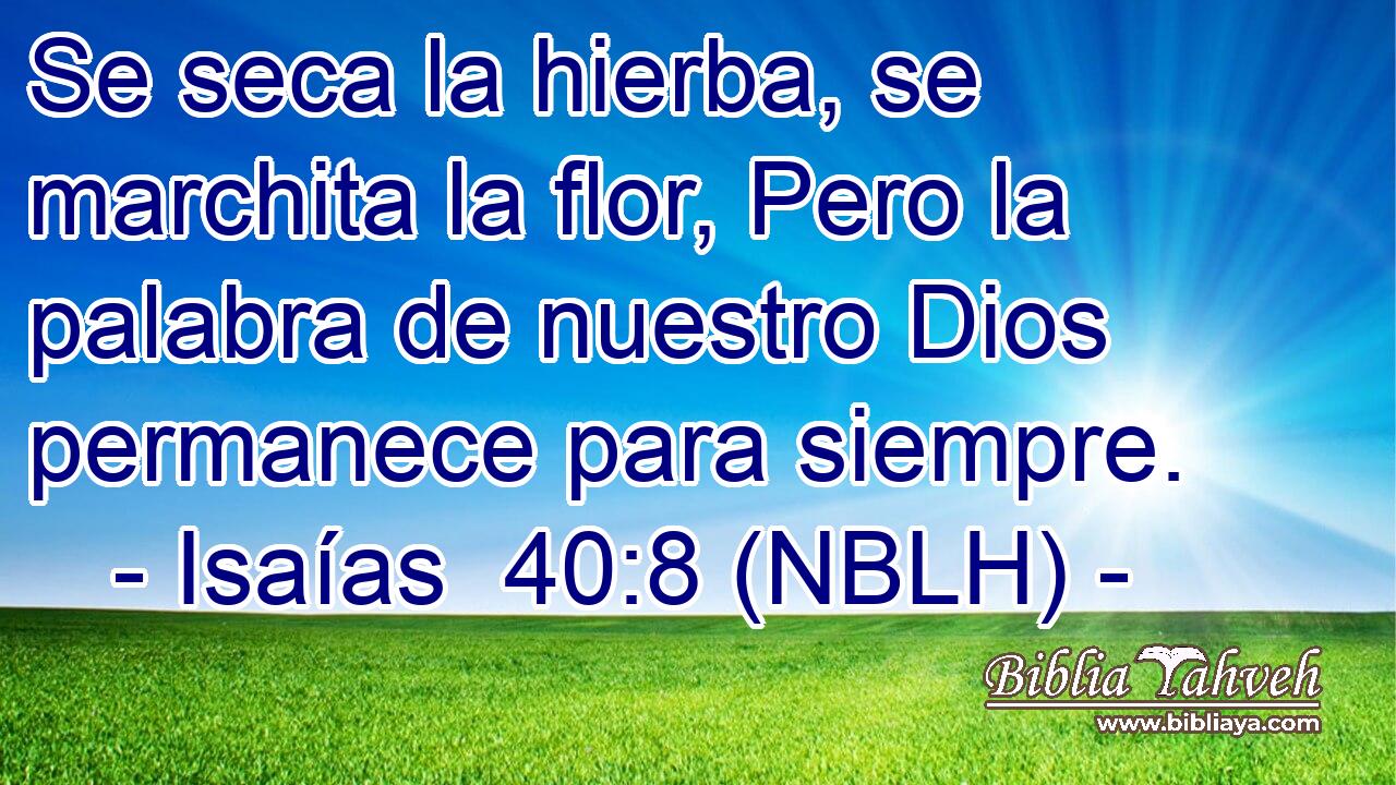  Se seca la hierba, se marchita la flor, Pero la palabra de nuestro Dios permanece para siempre. 