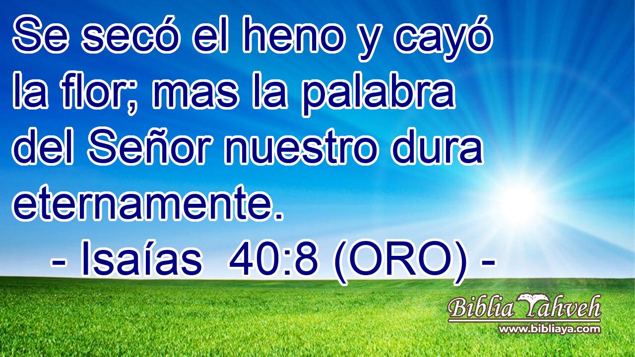  Se secó el heno y cayó la flor; mas la palabra del Señor nuestro dura eternamente. 
