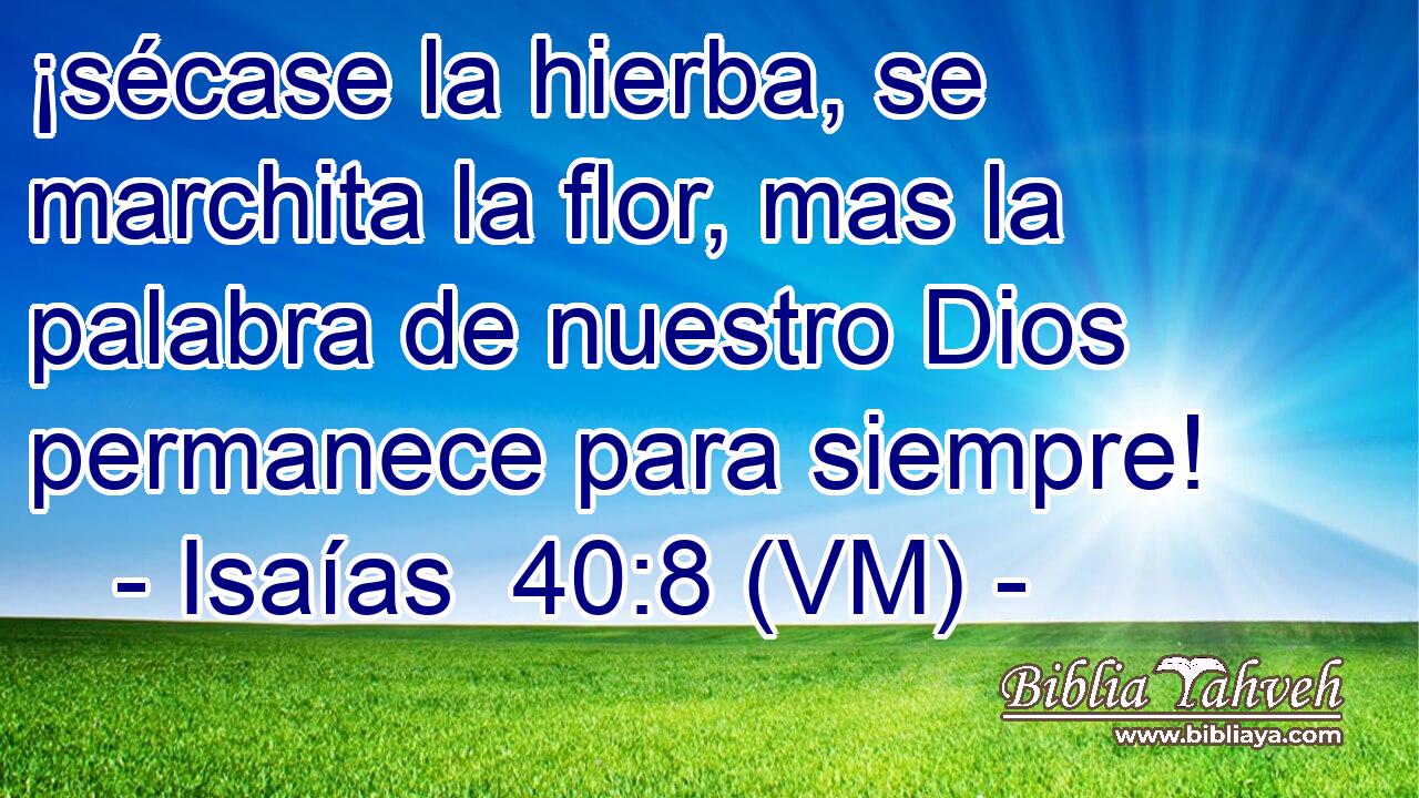  ¡sécase la hierba, se marchita la flor, mas la palabra de nuestro Dios permanece para siempre! 