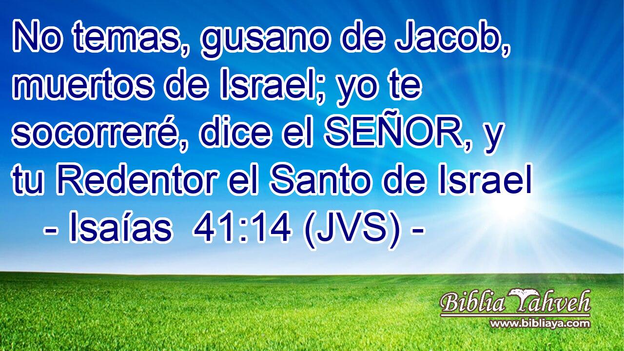 No temas, gusano de Jacob, muertos de Israel; yo te socorreré, dice el SEÑOR, y tu Redentor el Santo de Israel