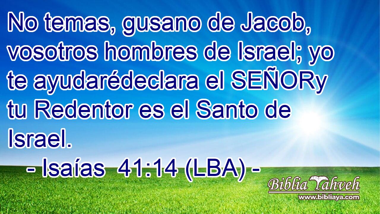 No temas, gusano de Jacob, vosotros hombres de Israel; yo te ayudarédeclara el SEÑORy tu Redentor es el Santo de Israel.