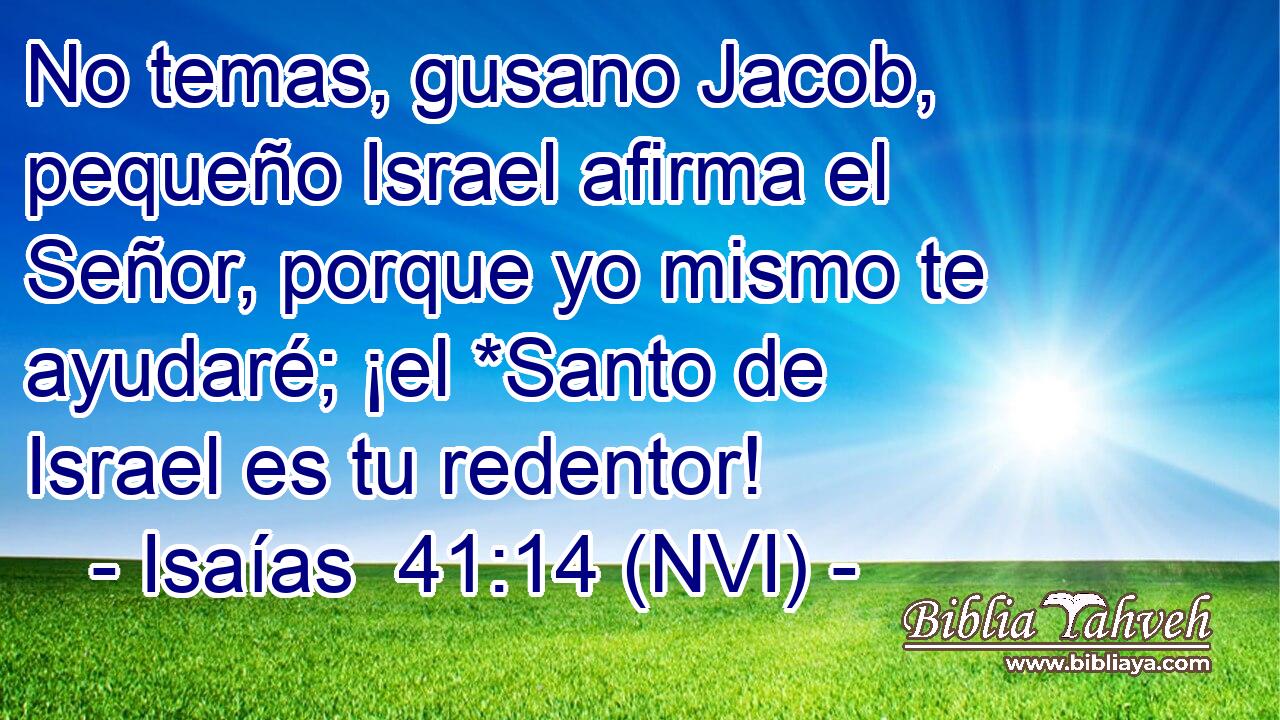  No temas, gusano Jacob, pequeño Israel afirma el Señor, porque yo mismo te ayudaré; ¡el *Santo de Israel es tu redentor! 