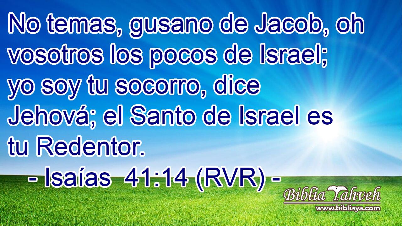 No temas, gusano de Jacob, oh vosotros los pocos de Israel; yo soy tu socorro, dice Jehová; el Santo de Israel es tu Redentor.