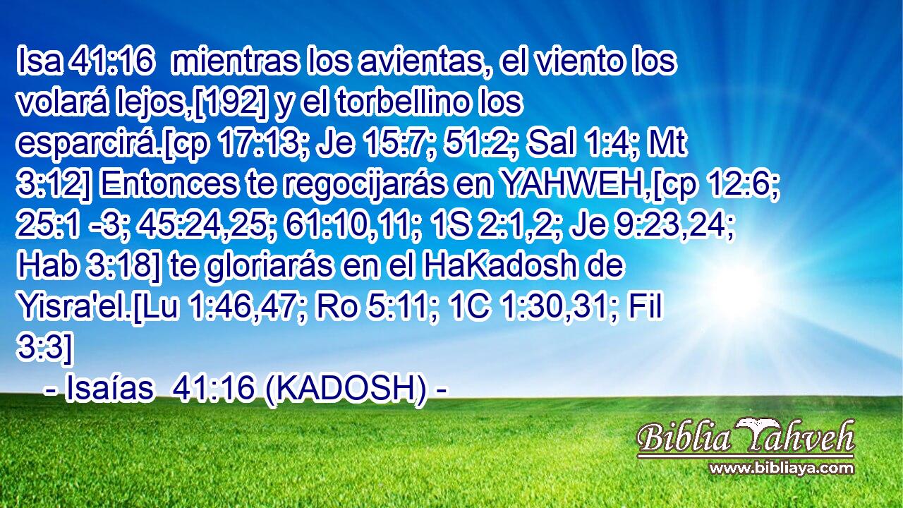  mientras los avientas, el viento los volará lejos,[192] y el torbellino los esparcirá.[cp 17:13; Je 15:7; 51:2; Sal 1:4; Mt 3:12] Entonces te regocijarás en YAHWEH,[cp 12:6; 25:1 -3; 45:24,25; 61:10,11; 1S 2:1,2; Je 9:23,24; Hab 3:18] te gloriarás en el HaKadosh de Yisra'el.[Lu 1:46,47; Ro 5:11; 1C 1:30,31; Fil 3:3] 