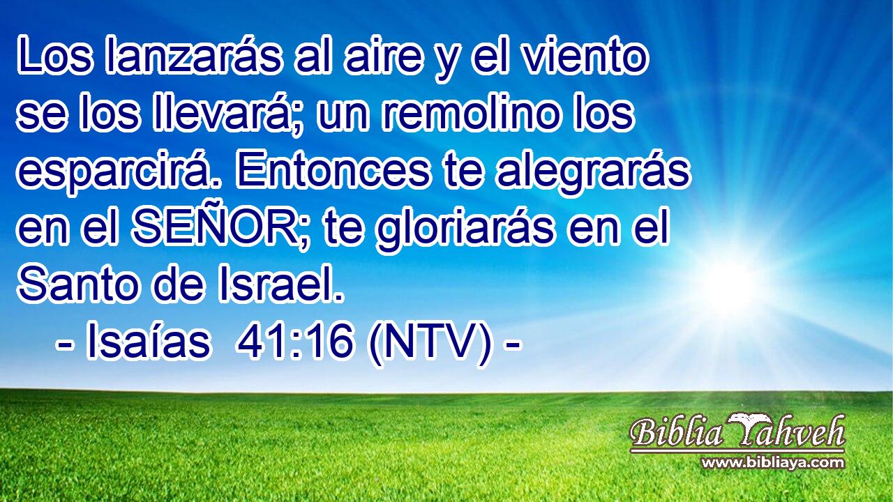 Los lanzarás al aire y el viento se los llevará; un remolino los esparcirá. Entonces te alegrarás en el SEÑOR; te gloriarás en el Santo de Israel.
