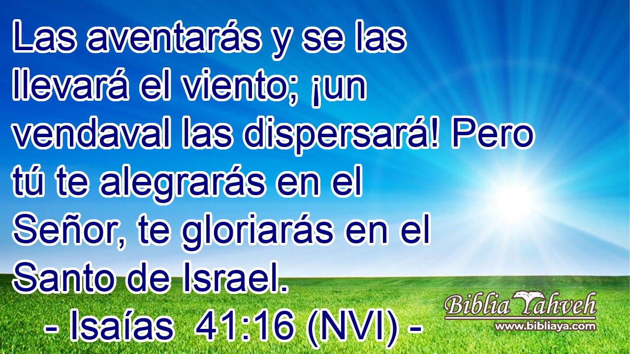  Las aventarás y se las llevará el viento; ¡un vendaval las dispersará! Pero tú te alegrarás en el Señor, te gloriarás en el Santo de Israel. 