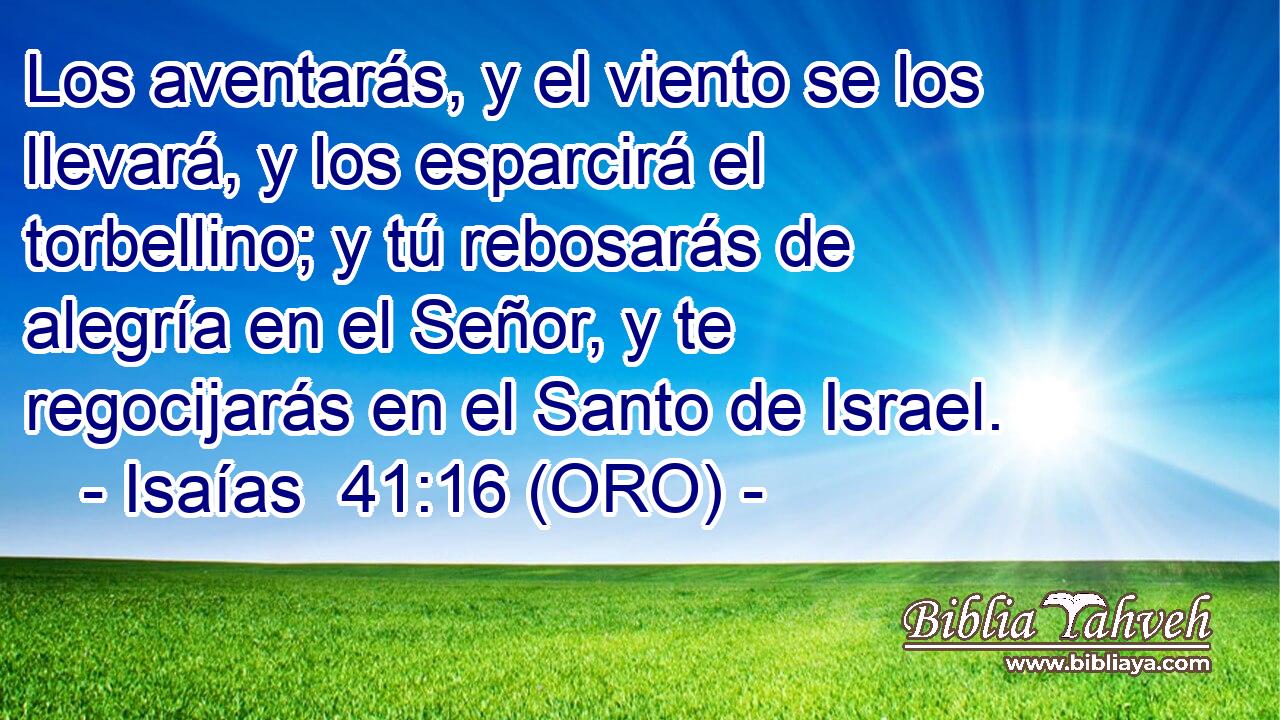  Los aventarás, y el viento se los llevará, y los esparcirá el torbellino; y tú rebosarás de alegría en el Señor, y te regocijarás en el Santo de Israel. 