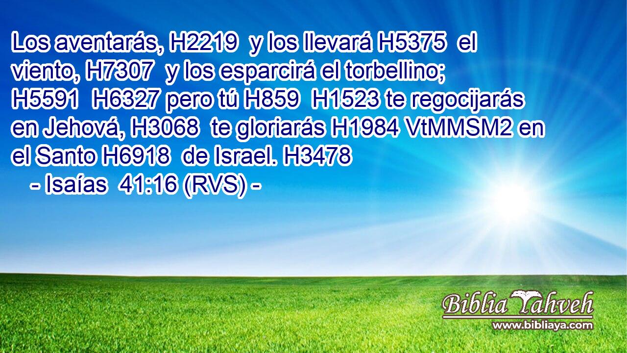 Los aventarás, H2219  y los llevará H5375  el viento, H7307  y los esparcirá el torbellino; H5591  H6327 pero tú H859  H1523 te regocijarás en Jehová, H3068  te gloriarás H1984 VtMMSM2 en el Santo H6918  de Israel. H3478  