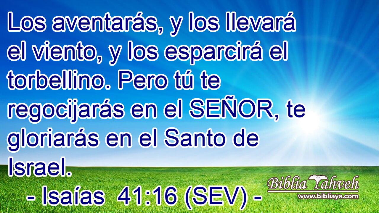 Los aventarás, y los llevará el viento, y los esparcirá el torbellino. Pero tú te regocijarás en el SEÑOR, te gloriarás en el Santo de Israel.