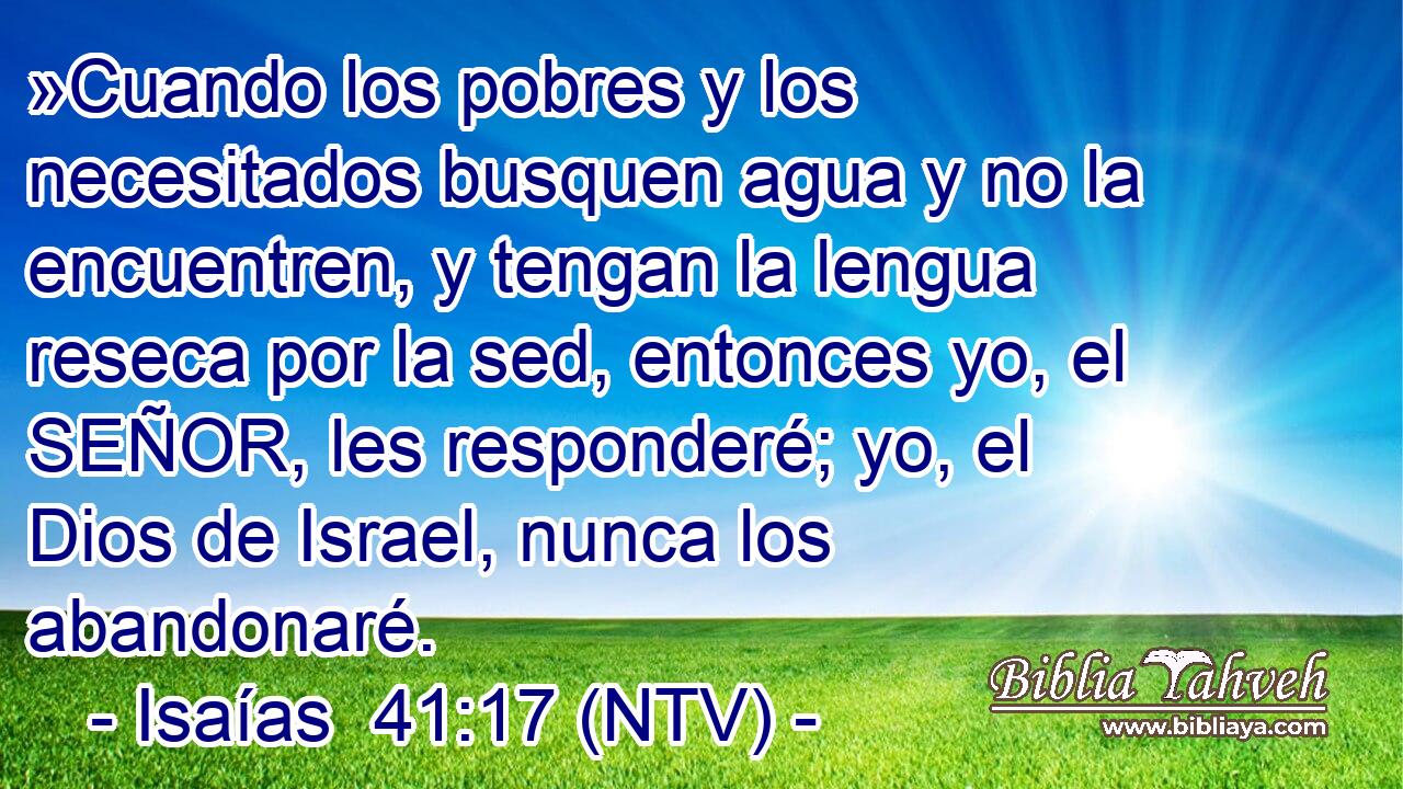 »Cuando los pobres y los necesitados busquen agua y no la encuentren, y tengan la lengua reseca por la sed, entonces yo, el SEÑOR, les responderé; yo, el Dios de Israel, nunca los abandonaré.