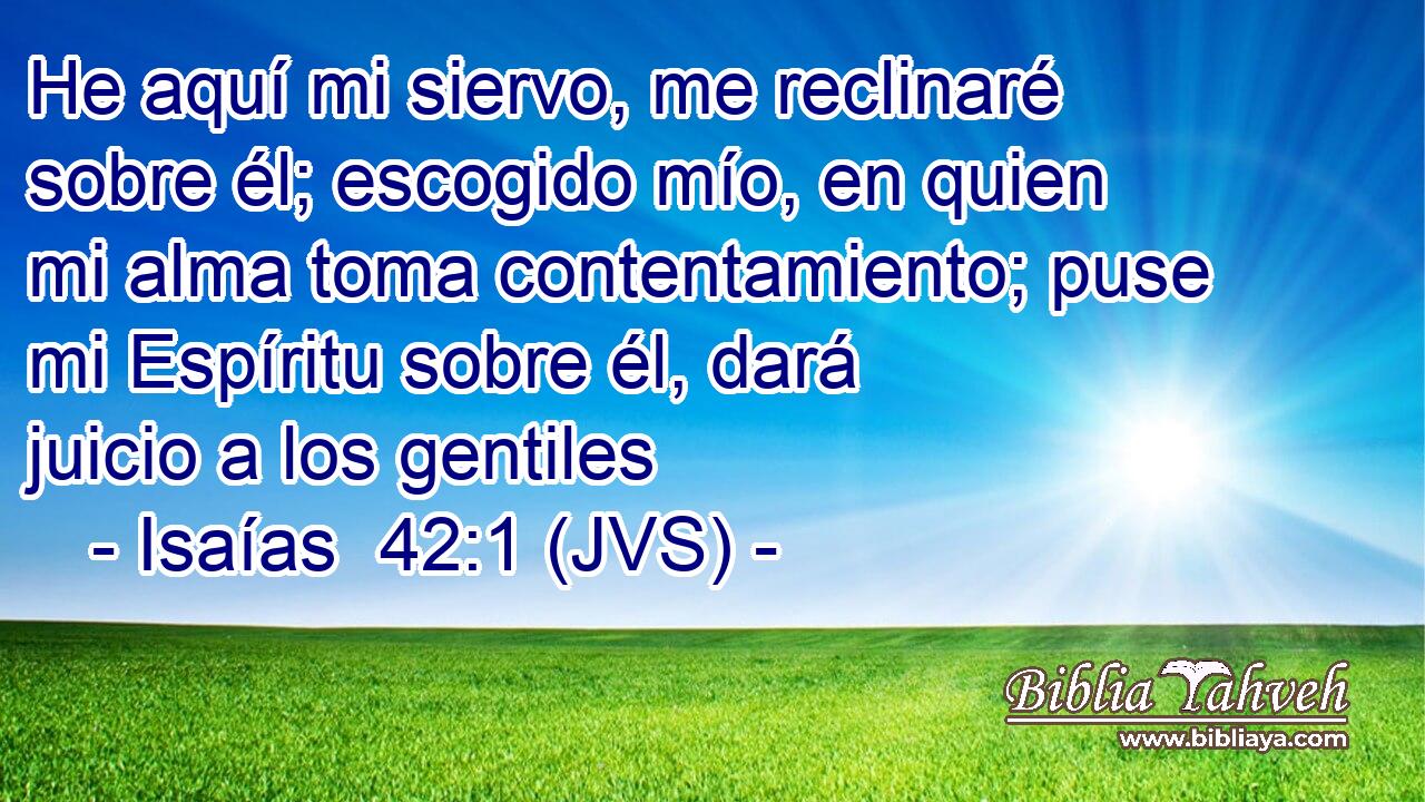 He aquí mi siervo, me reclinaré sobre él; escogido mío, en quien mi alma toma contentamiento; puse mi Espíritu sobre él, dará juicio a los gentiles
