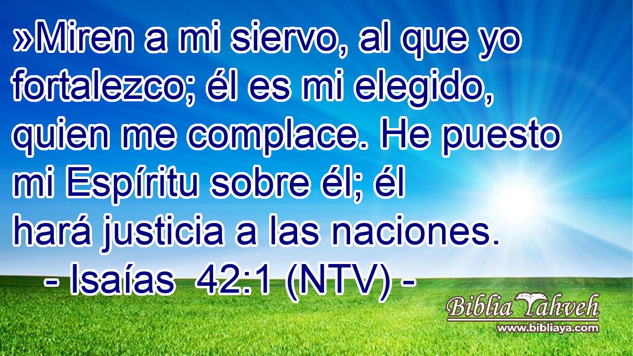 »Miren a mi siervo, al que yo fortalezco; él es mi elegido, quien me complace. He puesto mi Espíritu sobre él; él hará justicia a las naciones.