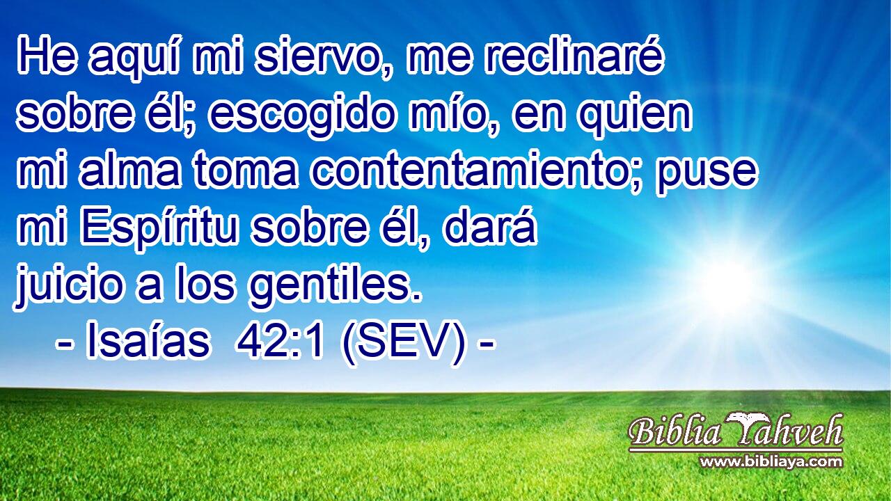 He aquí mi siervo, me reclinaré sobre él; escogido mío, en quien mi alma toma contentamiento; puse mi Espíritu sobre él, dará juicio a los gentiles.