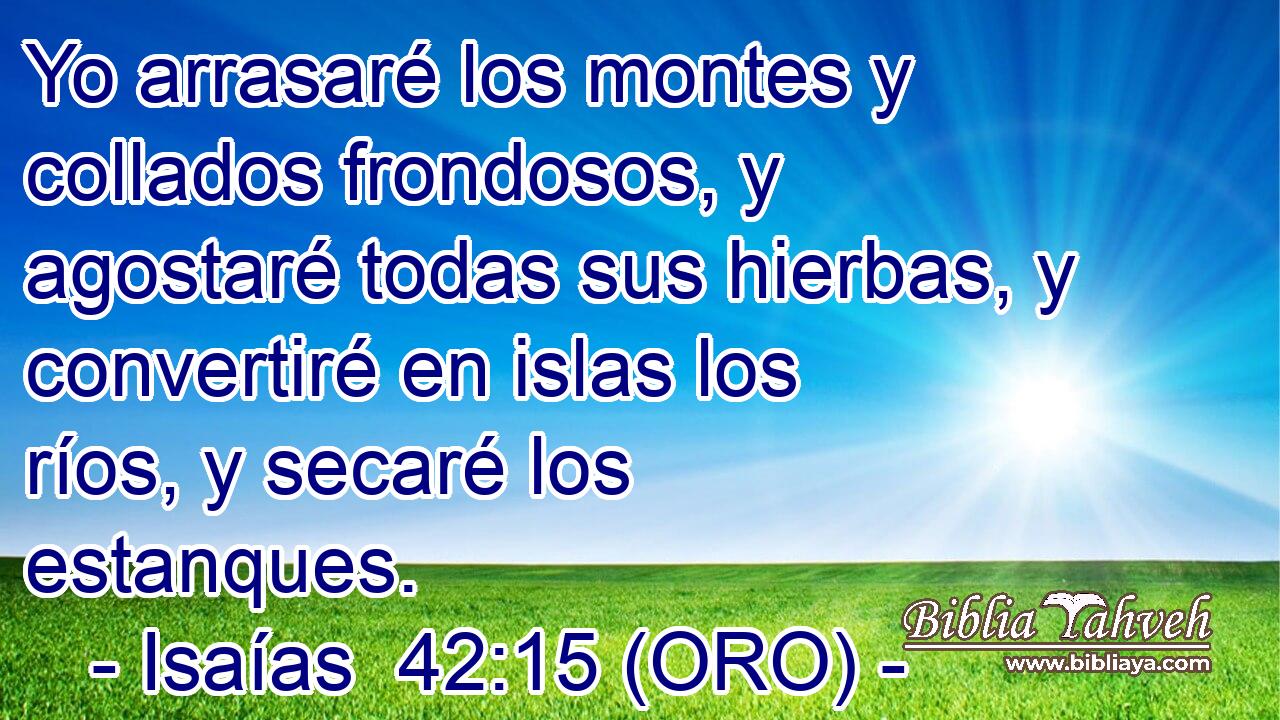  Yo arrasaré los montes y collados frondosos, y agostaré todas sus hierbas, y convertiré en islas los ríos, y secaré los estanques. 