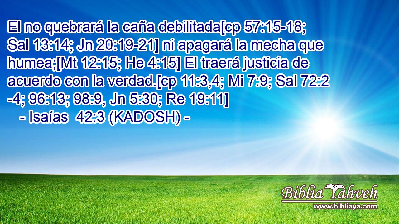  El no quebrará la caña debilitada[cp 57:15-18; Sal 13:14; Jn 20:19-21] ni apagará la mecha que humea;[Mt 12:15; He 4:15] El traerá justicia de acuerdo con la verdad.[cp 11:3,4; Mi 7:9; Sal 72:2 -4; 96:13; 98:9, Jn 5:30; Re 19:11] 