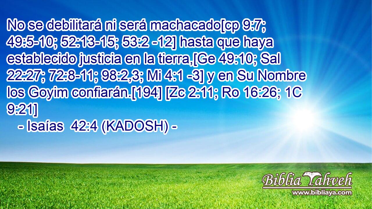  No se debilitará ni será machacado[cp 9:7; 49:5-10; 52:13-15; 53:2 -12] hasta que haya establecido justicia en la tierra,[Ge 49:10; Sal 22:27; 72:8-11; 98:2,3; Mi 4:1 -3] y en Su Nombre los Goyim confiarán.[194] [Zc 2:11; Ro 16:26; 1C 9:21] 