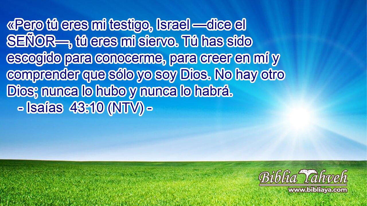 «Pero tú eres mi testigo, Israel —dice el SEÑOR—, tú eres mi siervo. Tú has sido escogido para conocerme, para creer en mí y comprender que sólo yo soy Dios. No hay otro Dios; nunca lo hubo y nunca lo habrá.