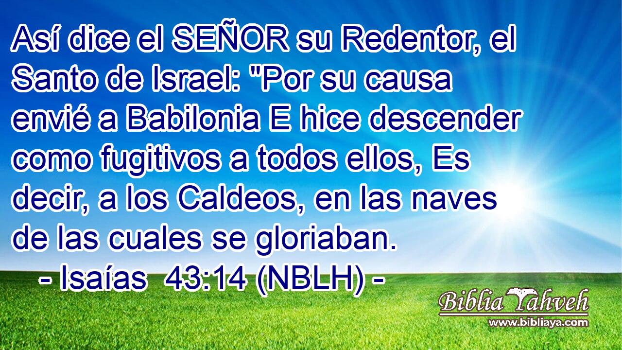  Así dice el SEÑOR su Redentor, el Santo de Israel: 