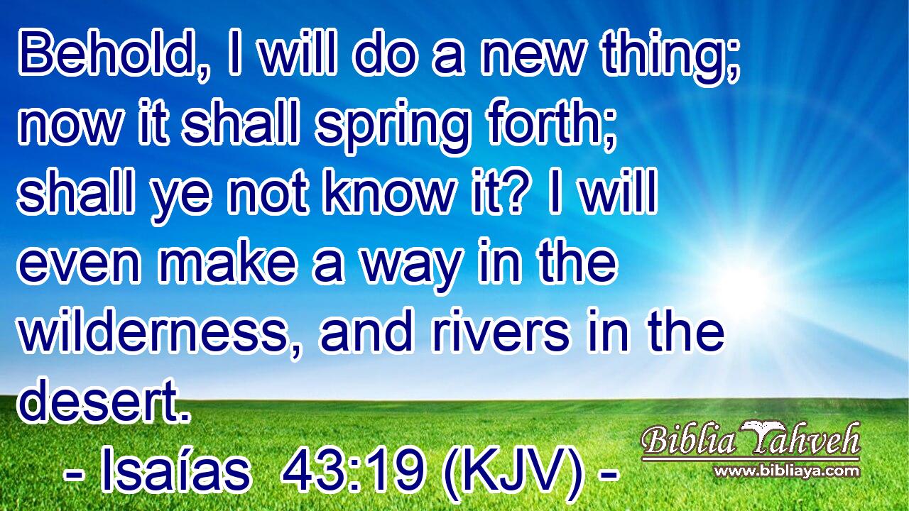 Behold, I will do a new thing; now it shall spring forth; shall ye not know it? I will even make a way in the wilderness, and rivers in the desert.