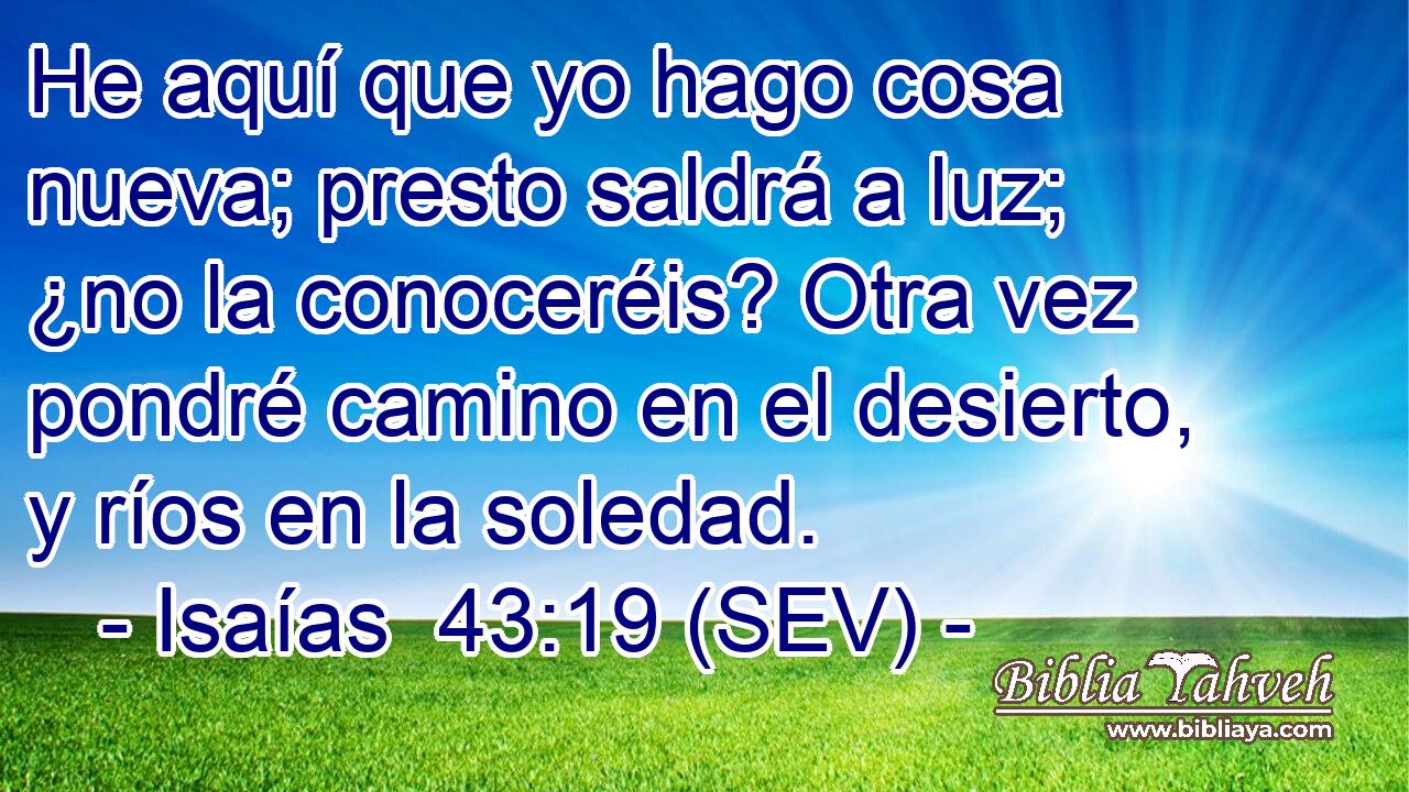 He aquí que yo hago cosa nueva; presto saldrá a luz; ¿no la conoceréis? Otra vez pondré camino en el desierto, y ríos en la soledad.