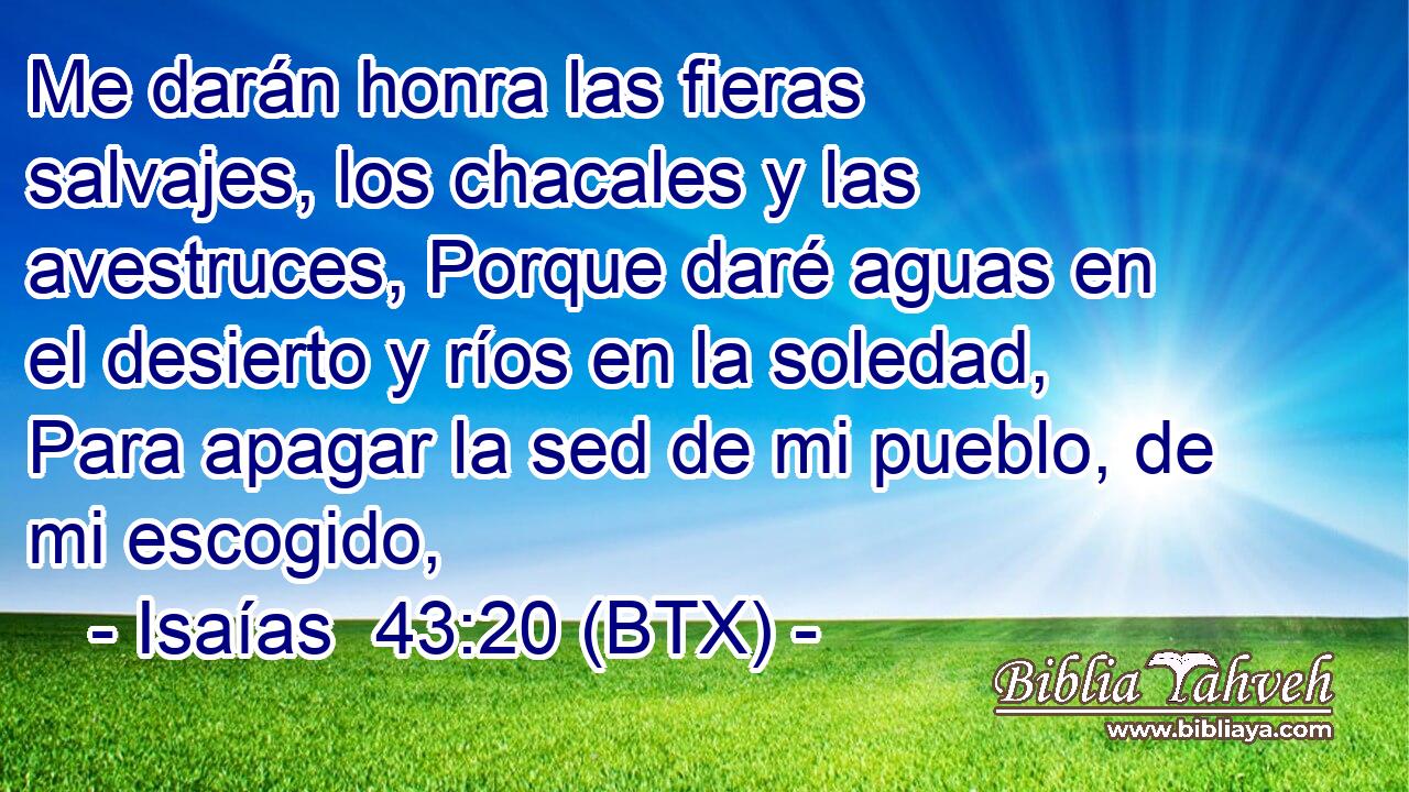 Me darán honra las fieras salvajes, los chacales y las avestruces, Porque daré aguas en el desierto y ríos en la soledad, Para apagar la sed de mi pueblo, de mi escogido,