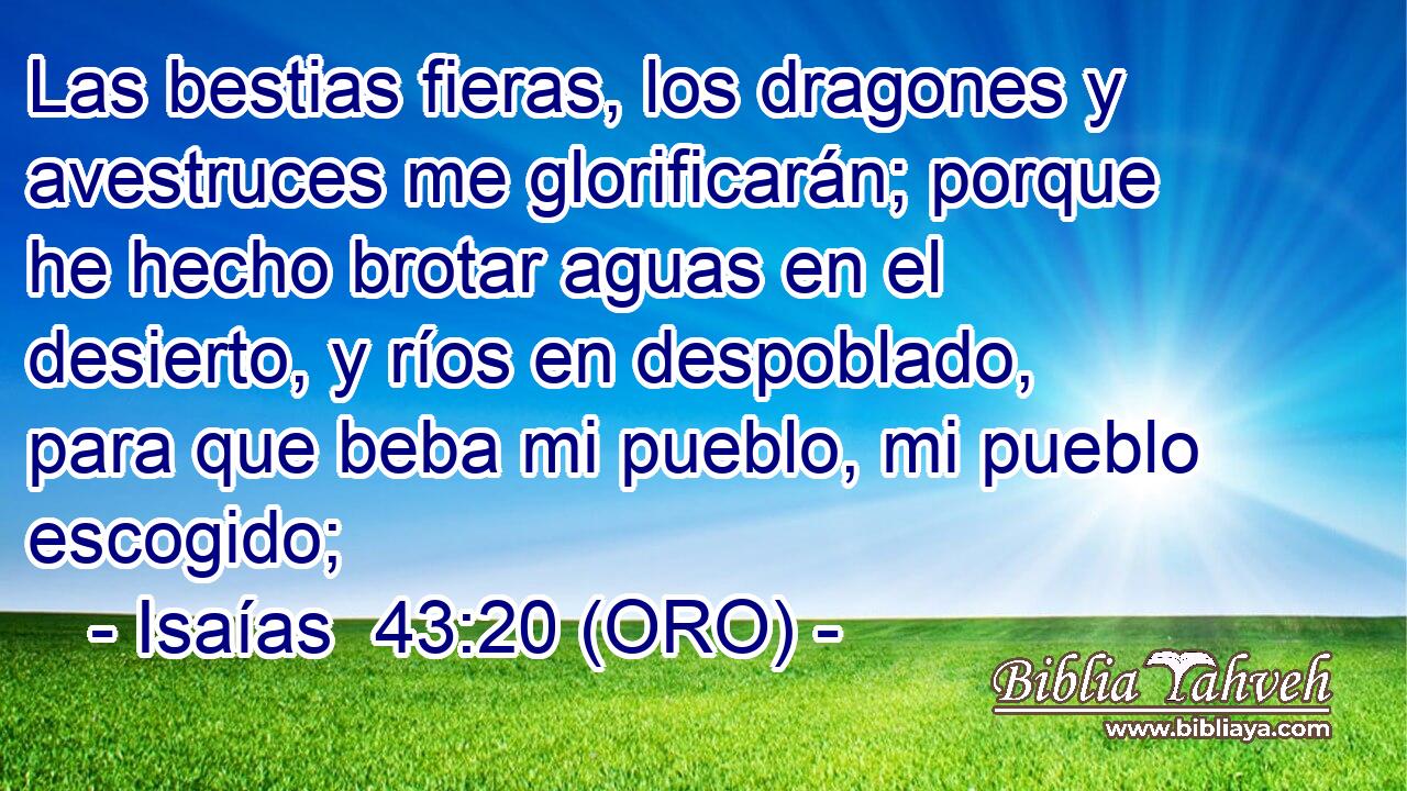  Las bestias fieras, los dragones y avestruces me glorificarán; porque he hecho brotar aguas en el desierto, y ríos en despoblado, para que beba mi pueblo, mi pueblo escogido; 