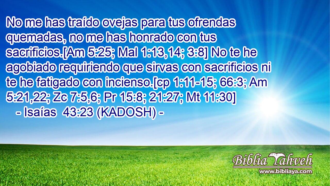  No me has traído ovejas para tus ofrendas quemadas, no me has honrado con tus sacrificios.[Am 5:25; Mal 1:13,14; 3:8] No te he agobiado requiriendo que sirvas con sacrificios ni te he fatigado con incienso.[cp 1:11-15; 66:3; Am 5:21,22; Zc 7:5,6; Pr 15:8; 21:27; Mt 11:30] 