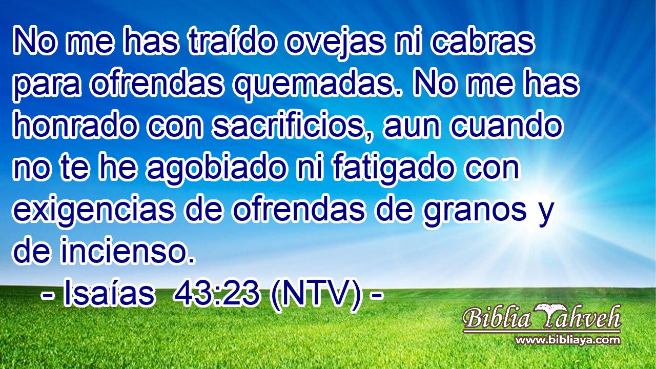 No me has traído ovejas ni cabras para ofrendas quemadas. No me has honrado con sacrificios, aun cuando no te he agobiado ni fatigado con exigencias de ofrendas de granos y de incienso.