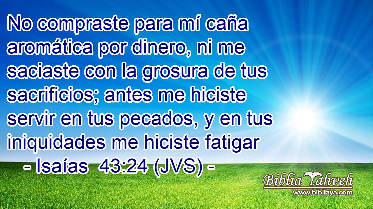 No compraste para mí caña aromática por dinero, ni me saciaste con la grosura de tus sacrificios; antes me hiciste servir en tus pecados, y en tus iniquidades me hiciste fatigar