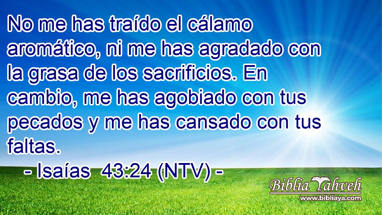 No me has traído el cálamo aromático, ni me has agradado con la grasa de los sacrificios. En cambio, me has agobiado con tus pecados y me has cansado con tus faltas.
