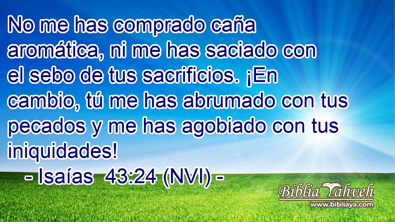  No me has comprado caña aromática, ni me has saciado con el sebo de tus sacrificios. ¡En cambio, tú me has abrumado con tus pecados y me has agobiado con tus iniquidades! 