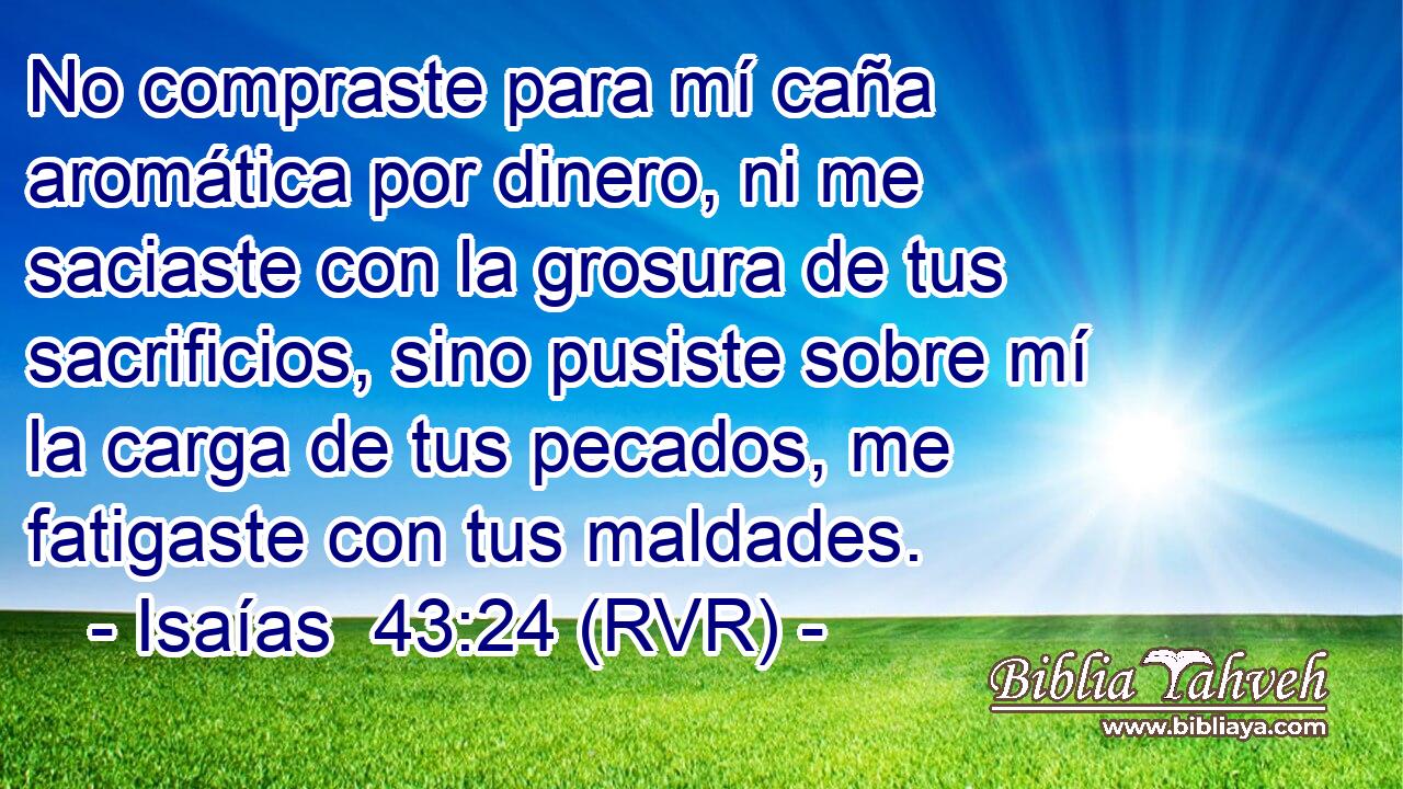 No compraste para mí caña aromática por dinero, ni me saciaste con la grosura de tus sacrificios, sino pusiste sobre mí la carga de tus pecados, me fatigaste con tus maldades.