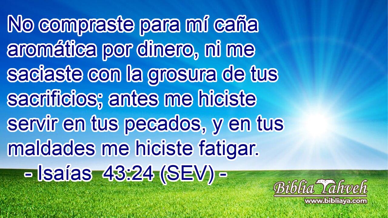 No compraste para mí caña aromática por dinero, ni me saciaste con la grosura de tus sacrificios; antes me hiciste servir en tus pecados, y en tus maldades me hiciste fatigar.