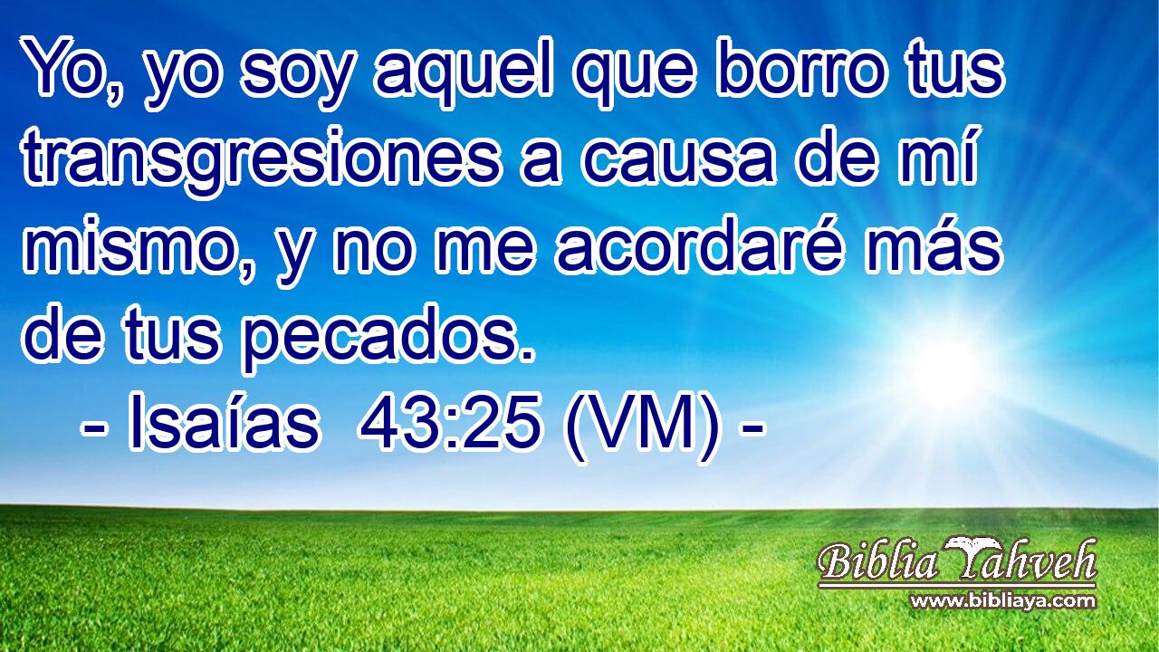  Yo, yo soy aquel que borro tus transgresiones a causa de mí mismo, y no me acordaré más de tus pecados. 