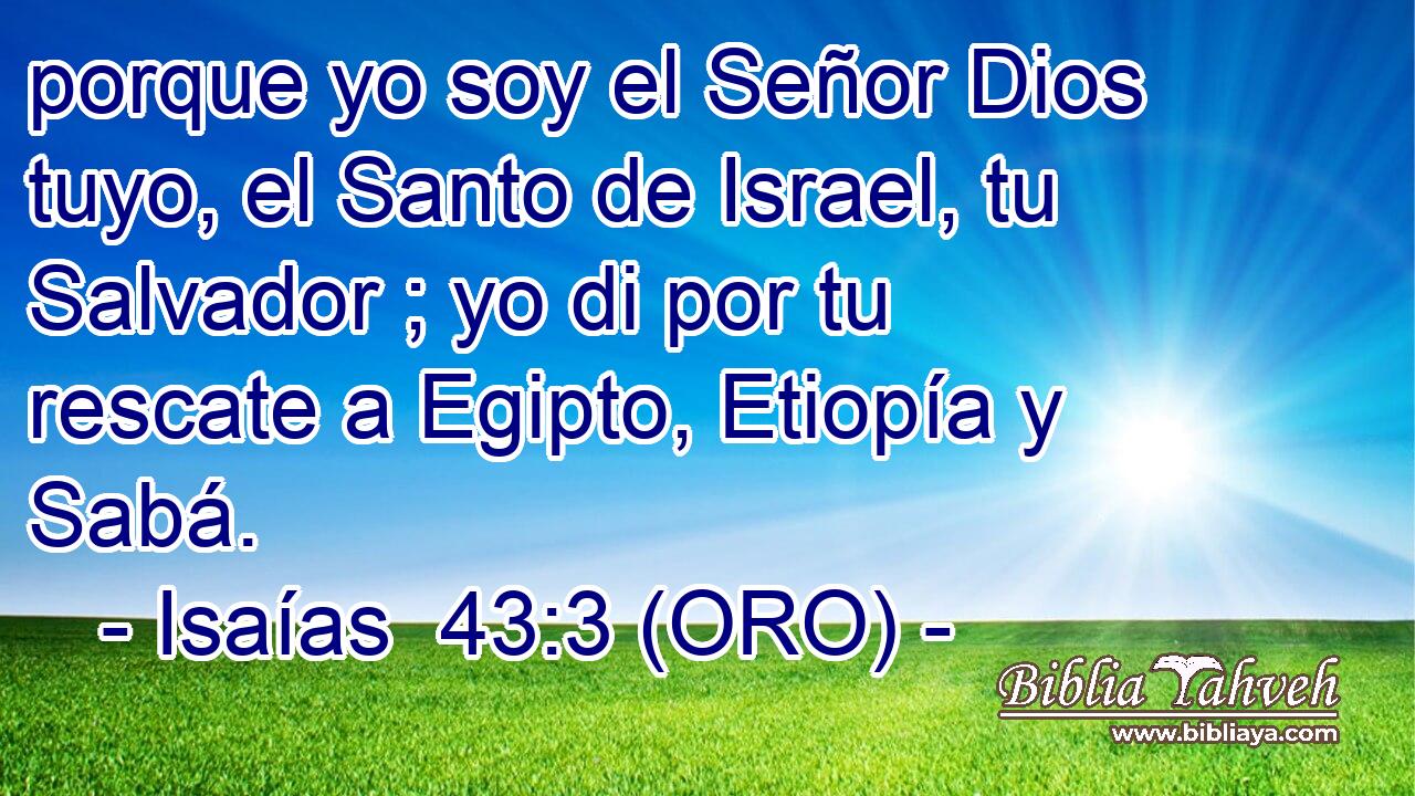  porque yo soy el Señor Dios tuyo, el Santo de Israel, tu Salvador ; yo di por tu rescate a Egipto, Etiopía y Sabá. 