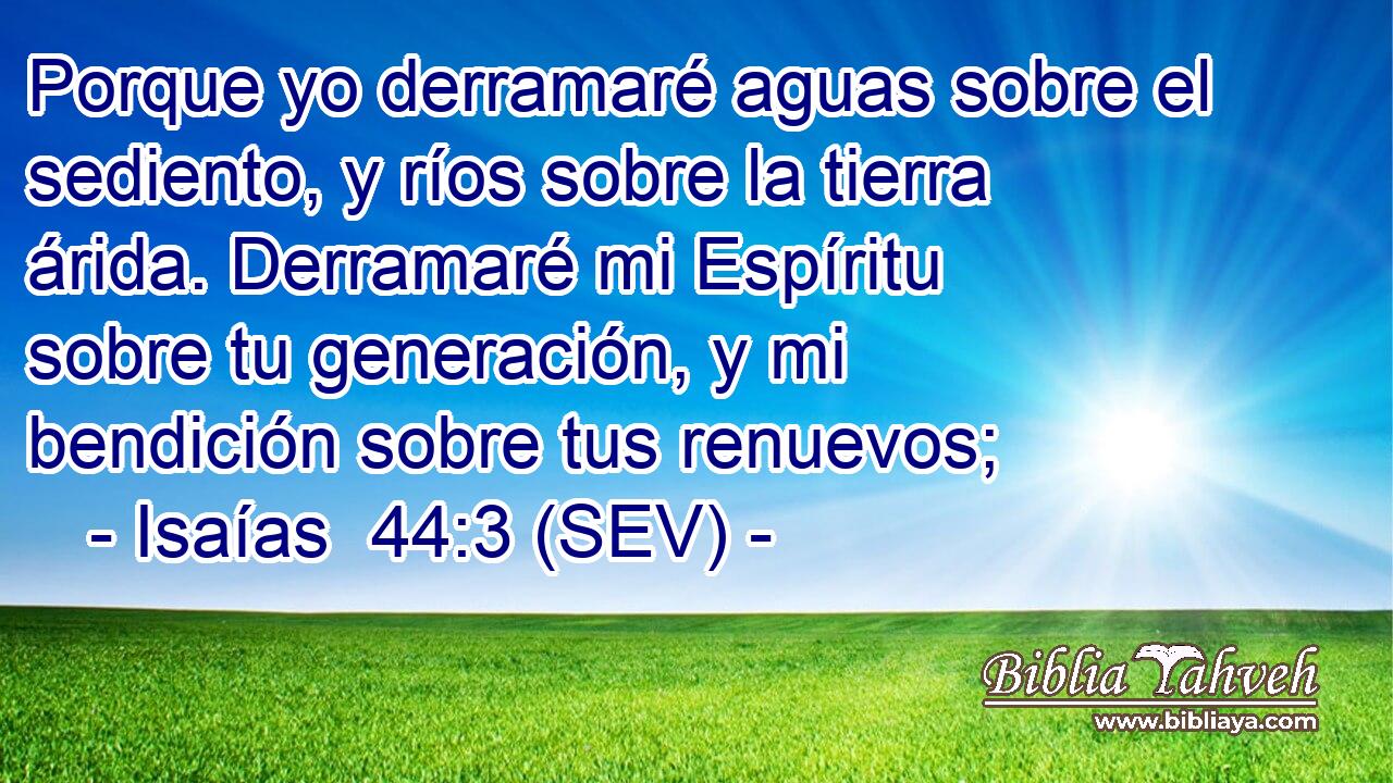 Porque yo derramaré aguas sobre el sediento, y ríos sobre la tierra árida. Derramaré mi Espíritu sobre tu generación, y mi bendición sobre tus renuevos;
